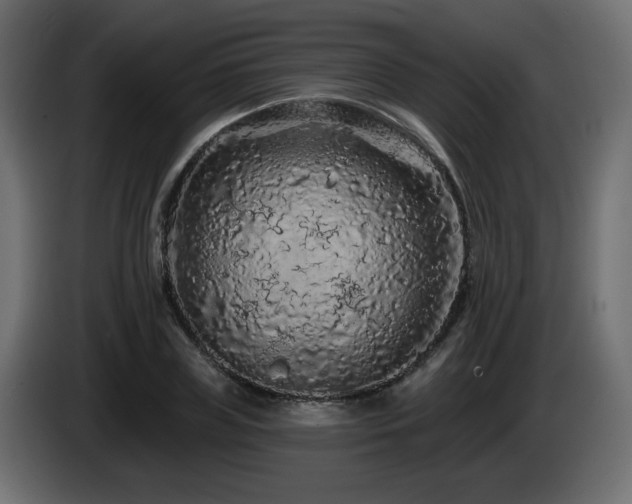 X0000085060835200703051437