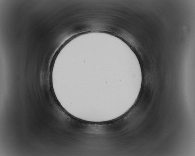 X0000085060836200703051437