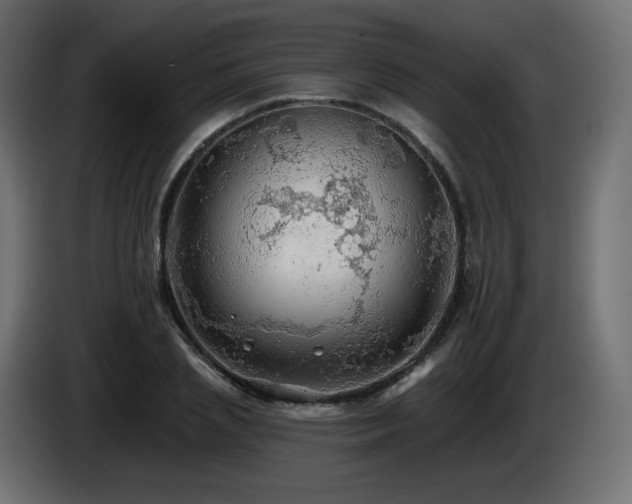 X0000085060837200703051437