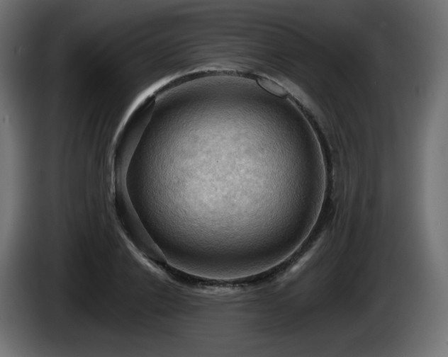 X0000085060838200703051437