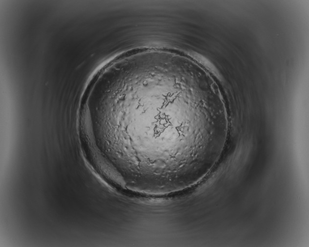 X0000085060839200703051437