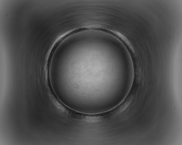 X0000085060840200703051437
