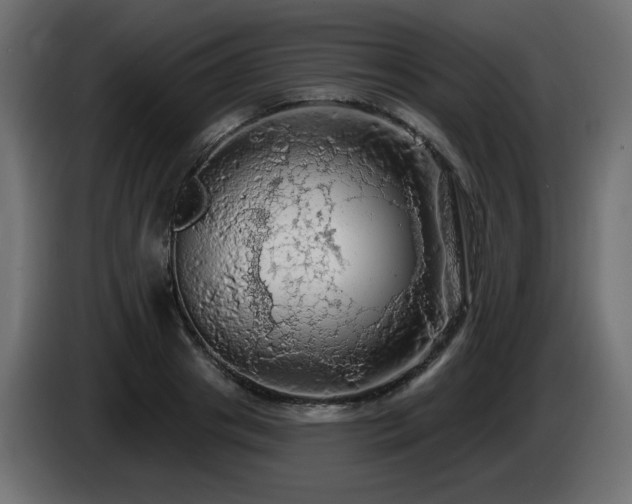 X0000085060841200703051437