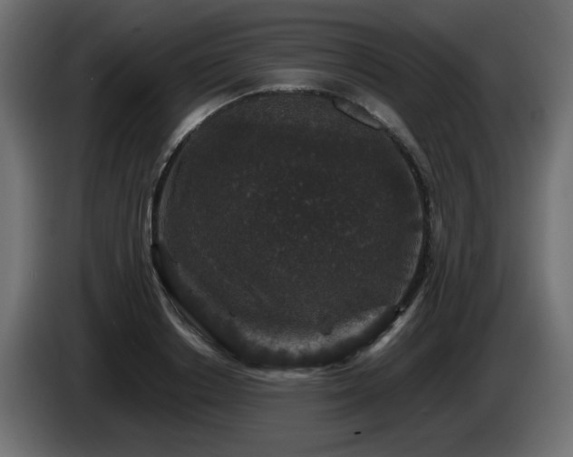 X0000085060842200703051437