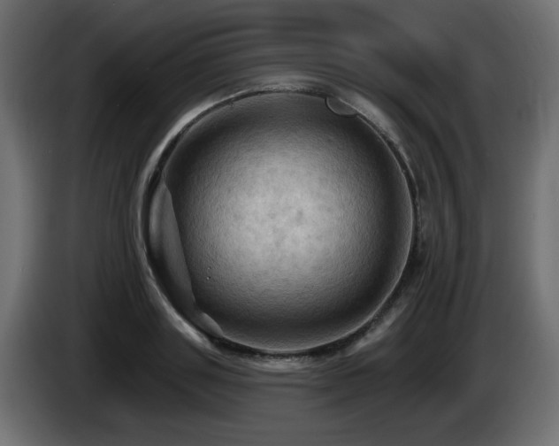 X0000085060843200703051437