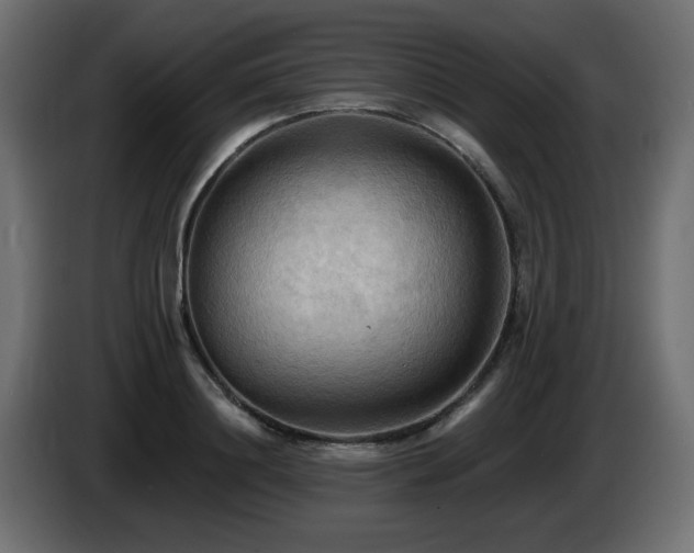 X0000085060844200703051437