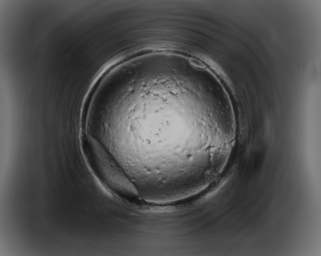 X0000085060845200703051437
