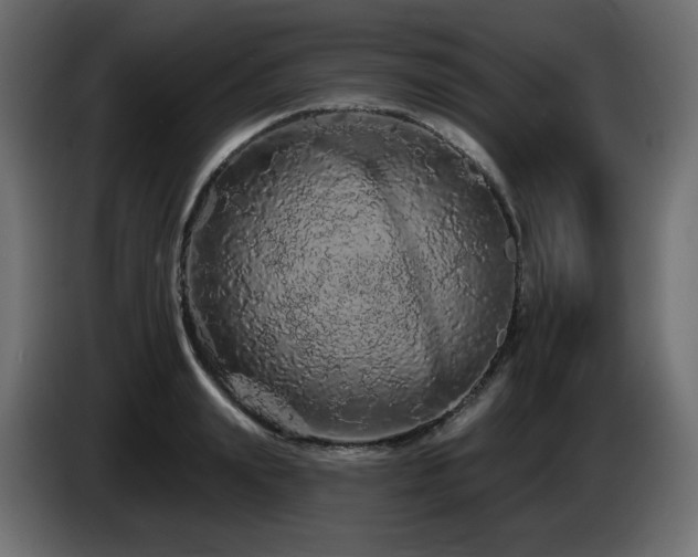 X0000085060847200703051437
