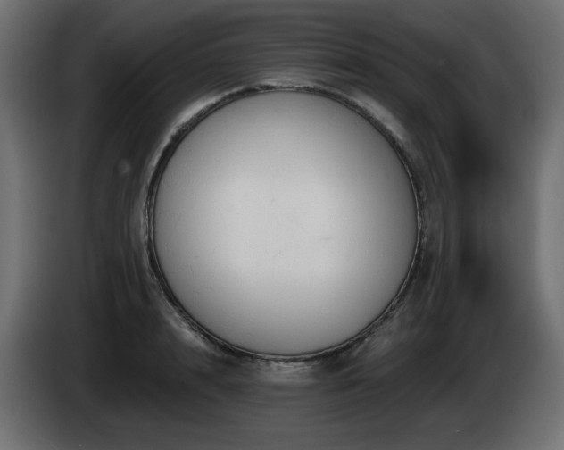 X0000085060848200703051437