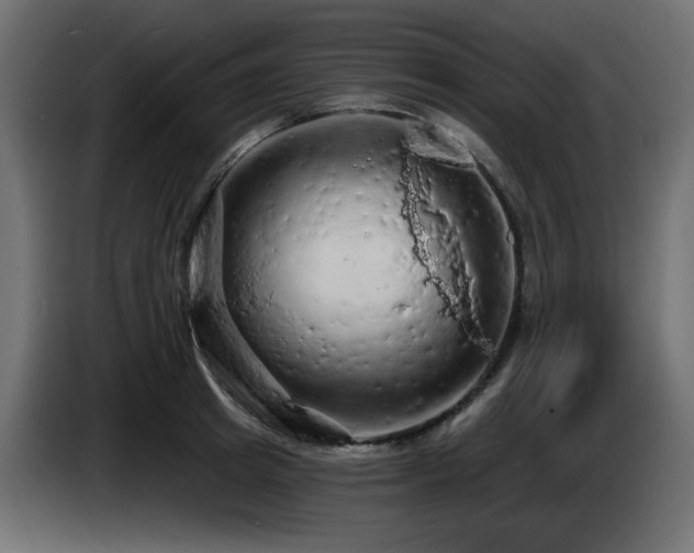 X0000085060849200703051437