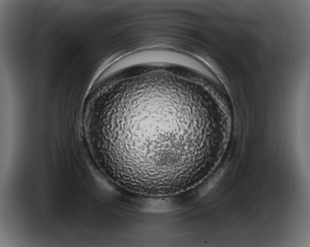 X0000085060850200703051437