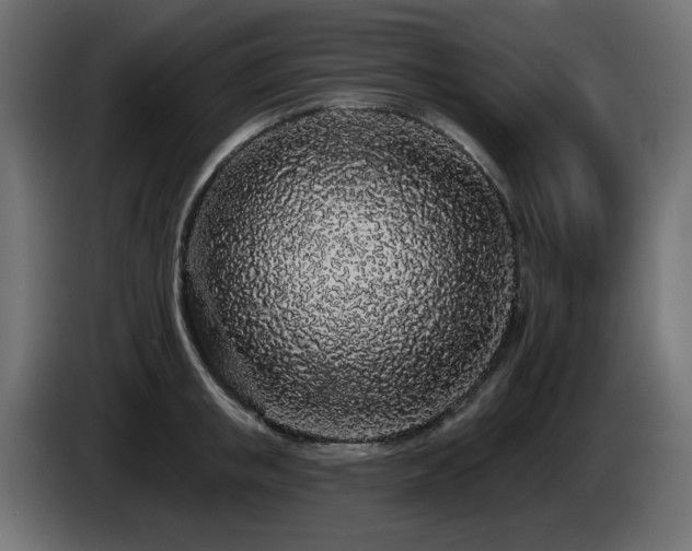 X0000085060853200703051437