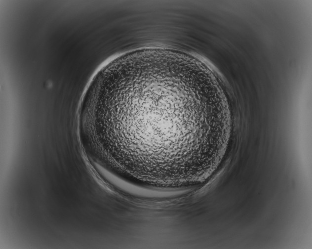 X0000085060854200703051437