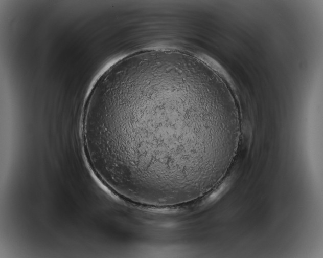 X0000085060855200703051437