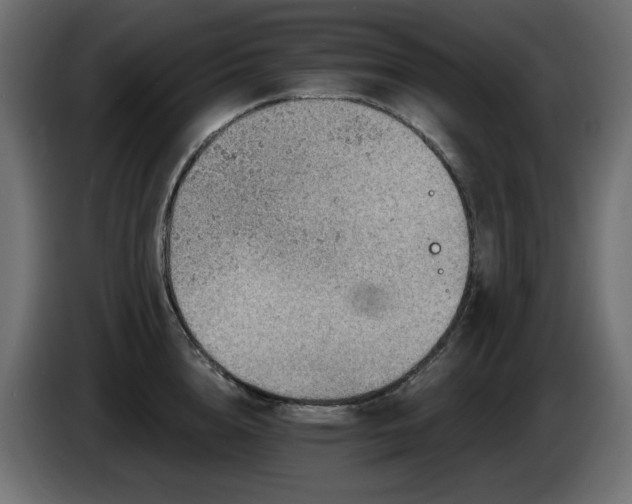 X0000085060856200703051437