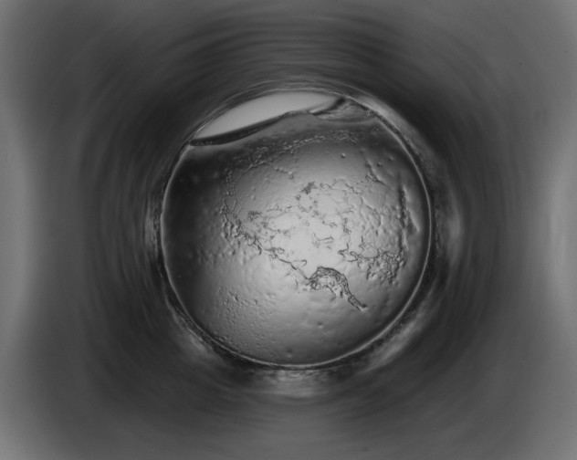 X0000085060857200703051437