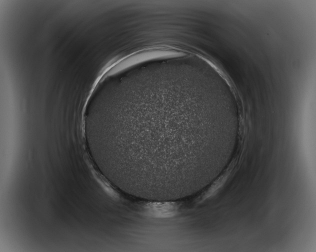 X0000085060858200703051437