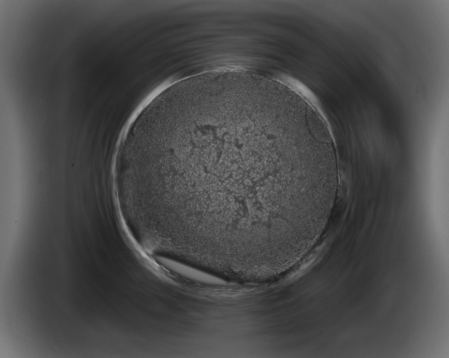 X0000085060859200703051437