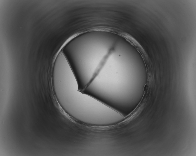 X0000085060860200703051437