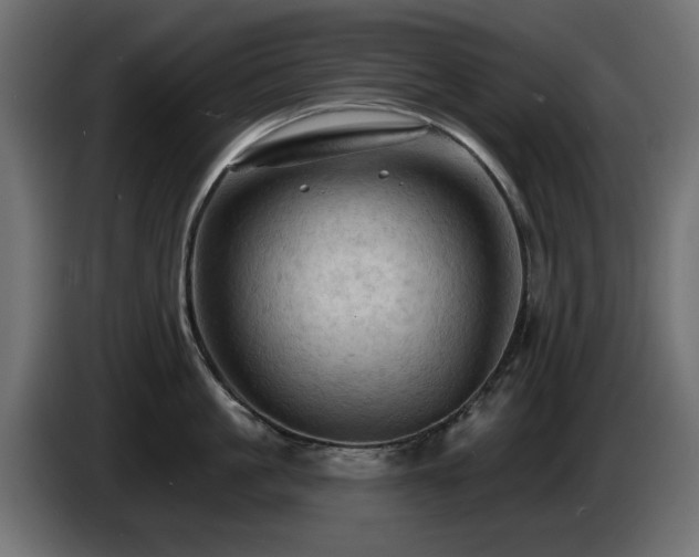 X0000085060861200703051437