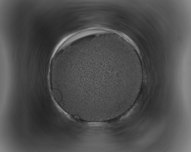 X0000085060863200703051437