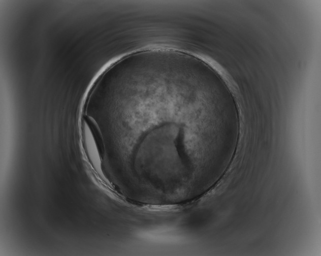 X0000085060864200703051437