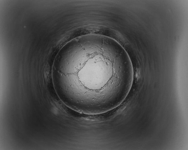 X0000085060867200703051437