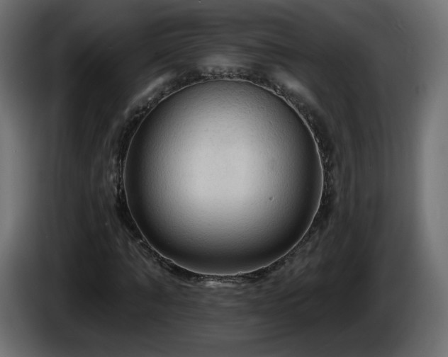 X0000085060870200703051437