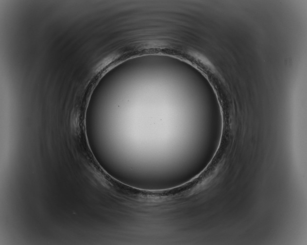 X0000085060873200703051437