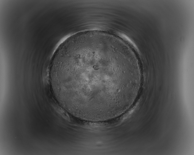 X0000085060875200703051437