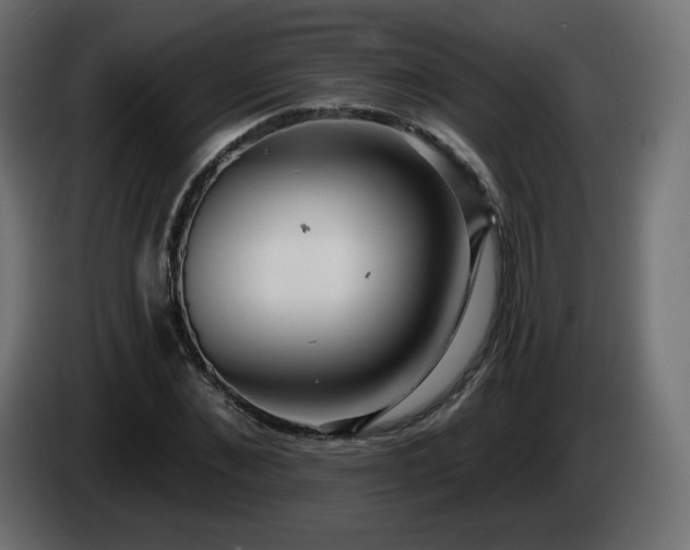 X0000085060876200703051437