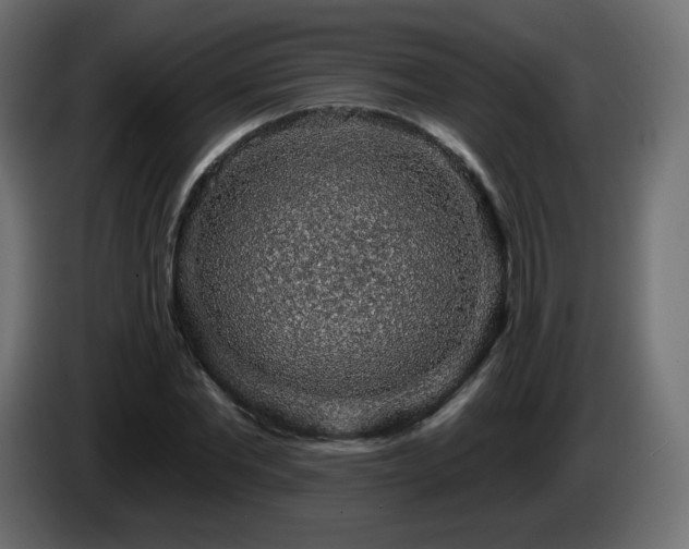 X0000085060877200703051437