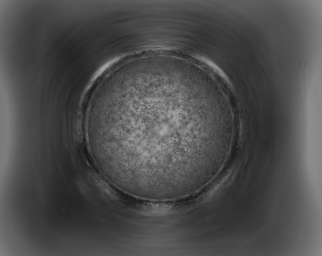 X0000085060878200703051436