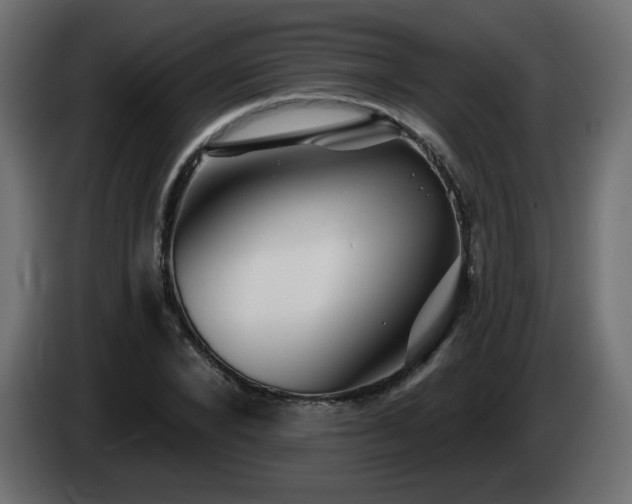 X0000085060880200703051436