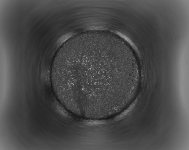 X0000085060881200703051436