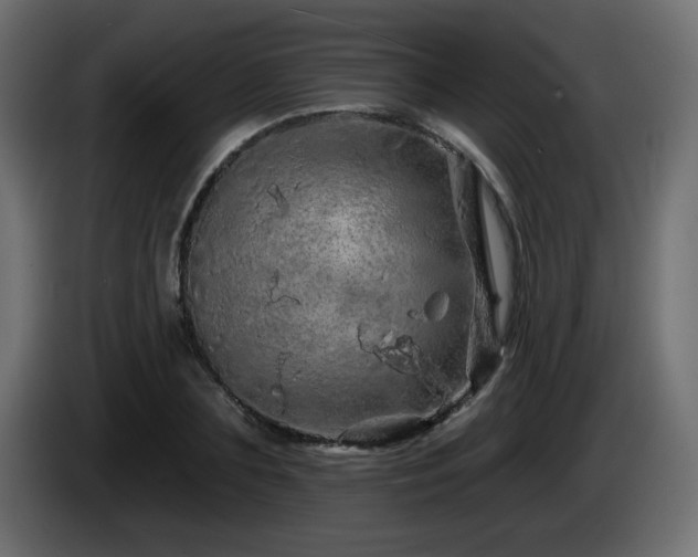 X0000085060883200703051436