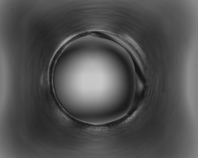 X0000085060884200703051436