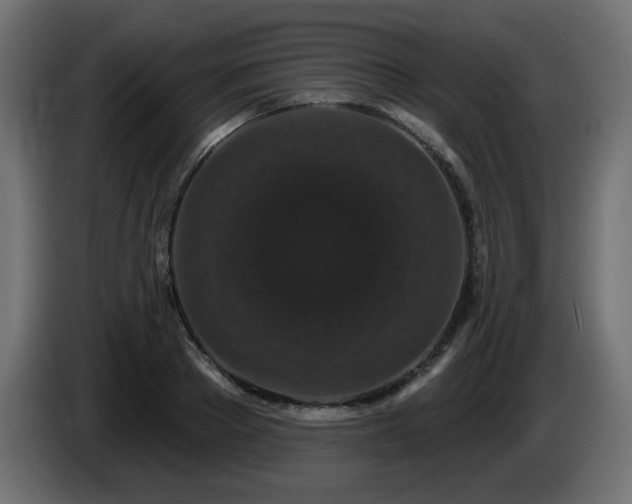 X0000085060889200703051436