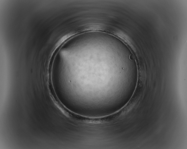X0000085060890200703051436