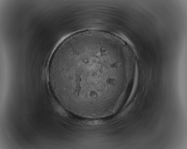 X0000085060891200703051436
