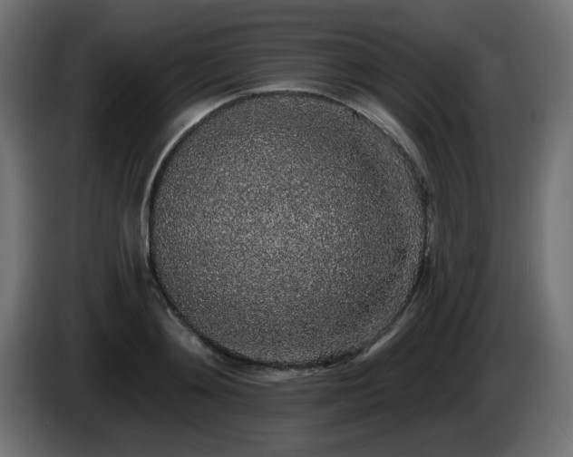 X0000085060892200703051436