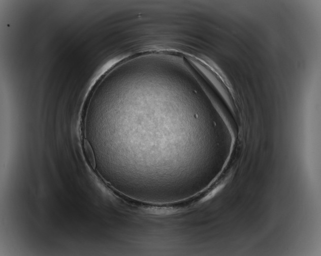 X0000085060893200703051436