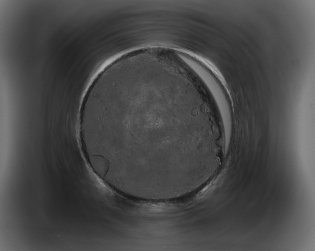 X0000085060895200703051436