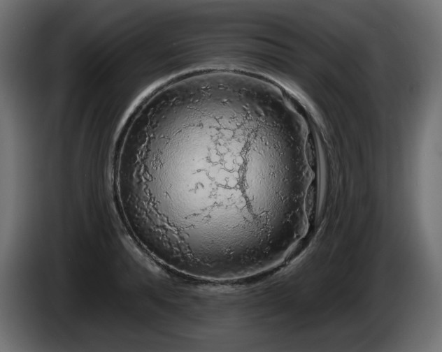 X0000085060896200703051436