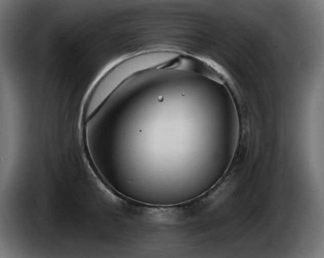 X0000085060902200703051436