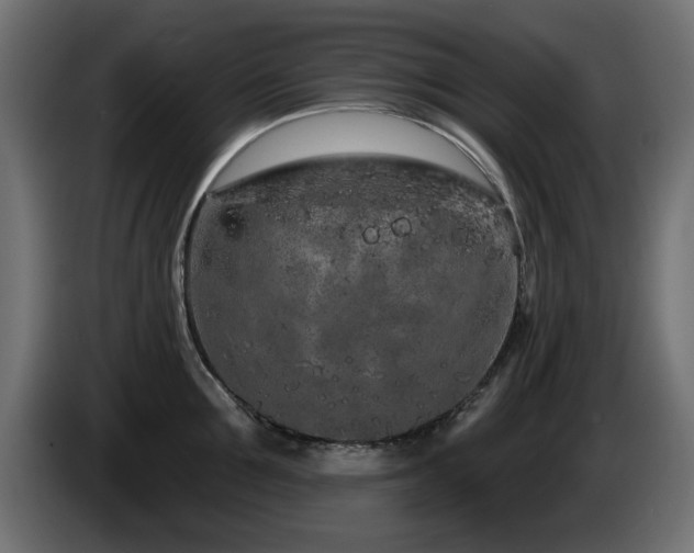 X0000085060907200703051436