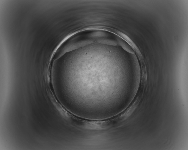 X0000085060908200703051436