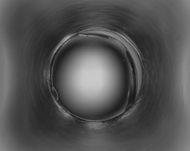X0000085060909200703051436