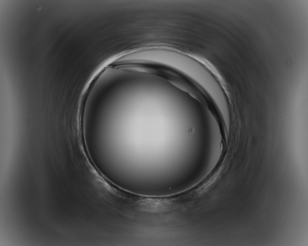 X0000085060910200703051436