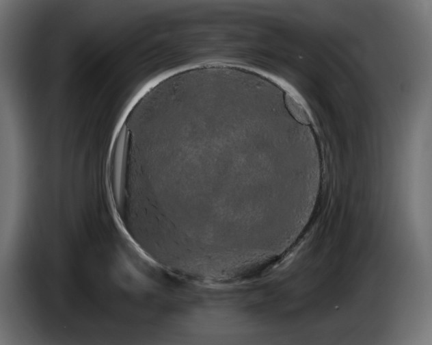 X0000085060911200703051436